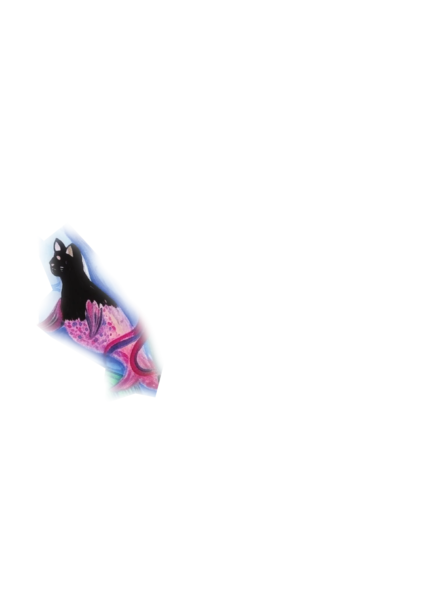 Gatito marino 2